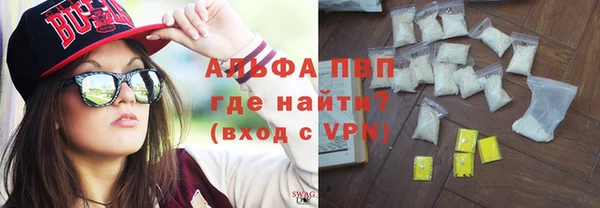 прущие грибы Абинск