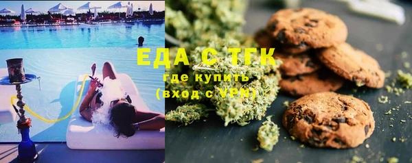 прущие грибы Абинск